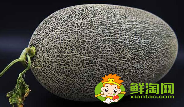 伽师瓜当地人叫什么,巴楚留香瓜与伽师瓜的区别