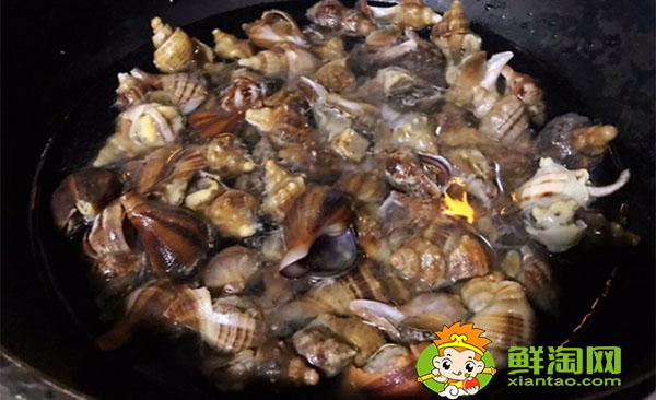 小海螺怎么吃到里面的肉图解