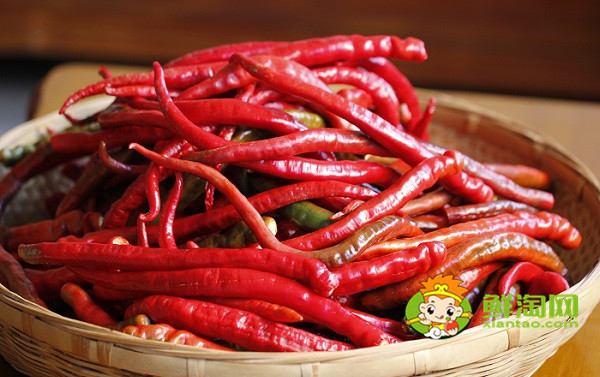 正宗酸辣椒的腌制方法，一个大辣椒重多少千克