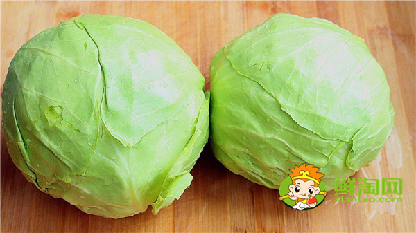 卷心菜和包菜有什么区别，怎样区别包菜和卷心菜