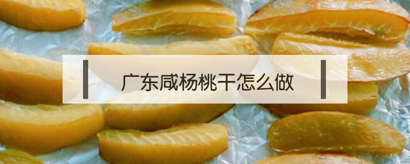 广东咸杨桃干怎么做