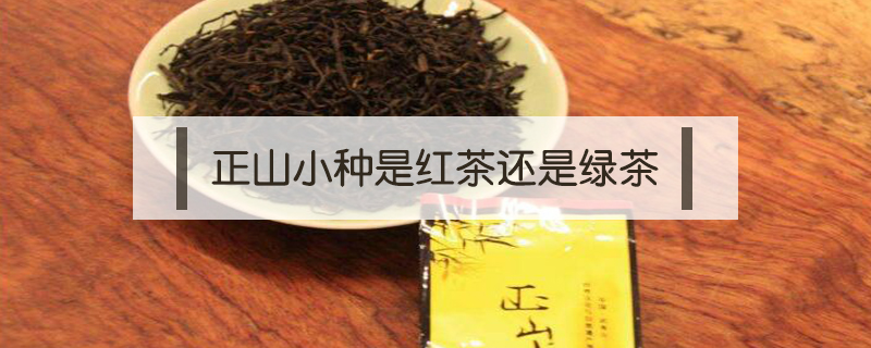 正山小种是红茶还是绿茶