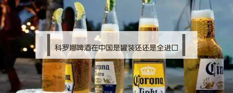 科罗娜啤酒在中国是罐装还还是全进口