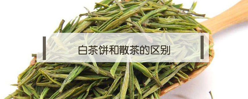 白茶饼和散茶的区别