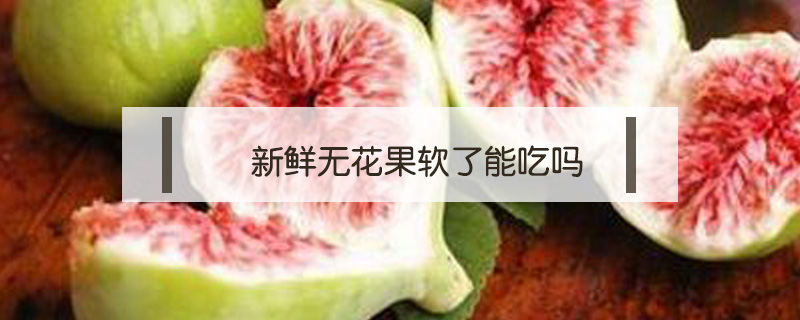 新鲜无花果软了能吃吗