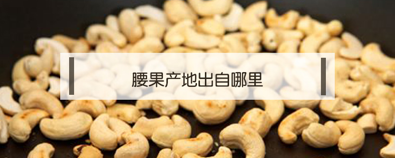 腰果产地出自哪里