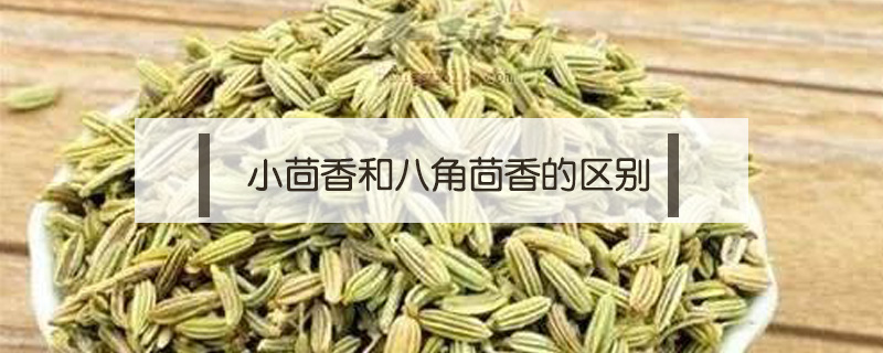 小茴香和八角茴香的区别