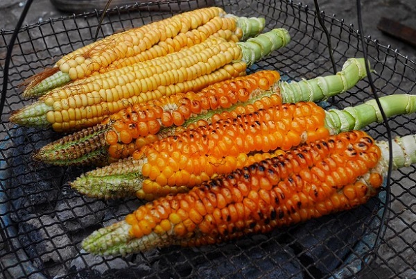 烤玉米是用什么玉米，糯玉米与甜玉米怎么挑