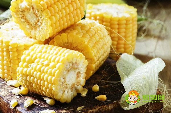 排名第一的糯玉米品种，甜玉米和糯玉米怎么分辨