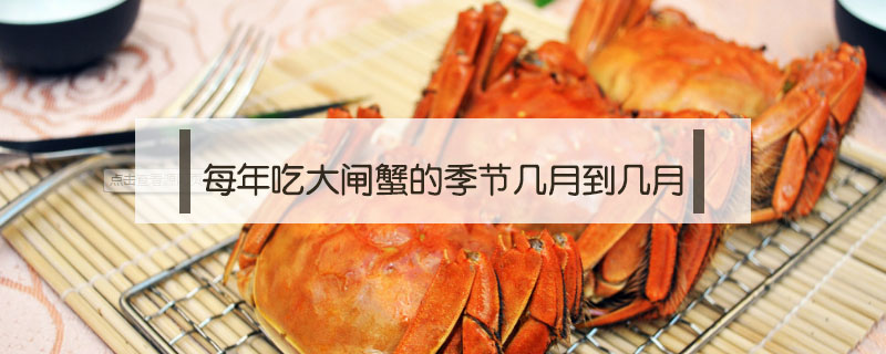 每年吃大闸蟹的季节几月到几月