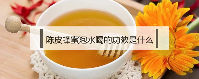 陈皮蜂蜜泡水喝的功效是什么