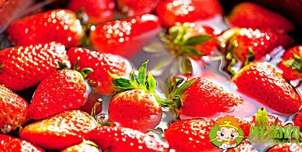 草莓怎么洗，吃草莓的好处