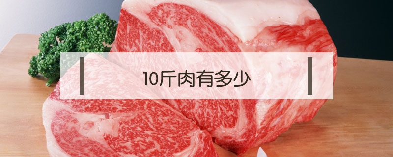 10斤肉有多少