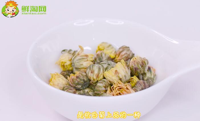 贡菊花和胎菊花的区别