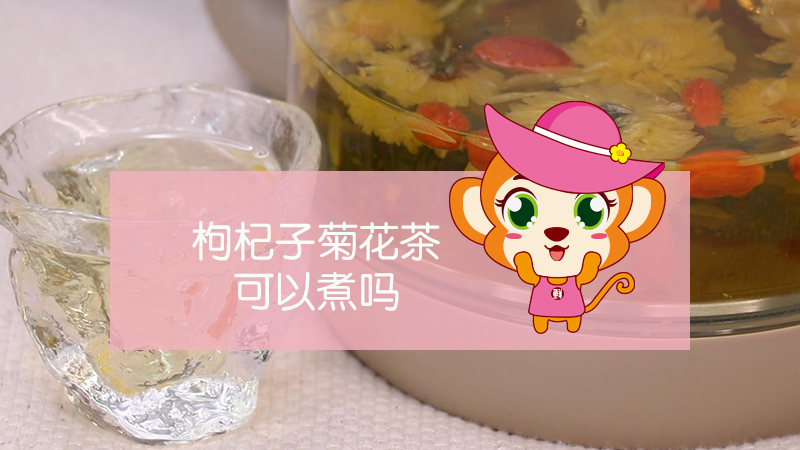 枸杞子菊花茶可以煮吗