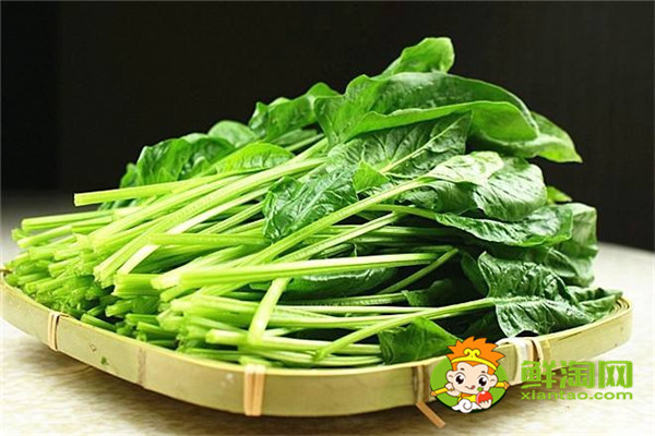 菠菜保鲜和储存方法,菠菜为什么不能晚上吃