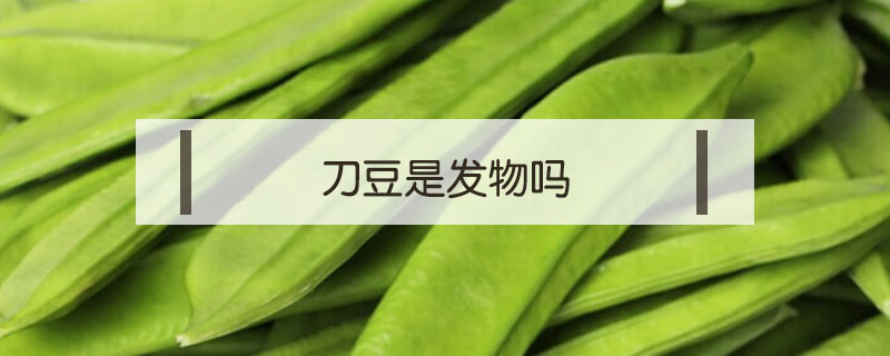 刀豆是发物吗