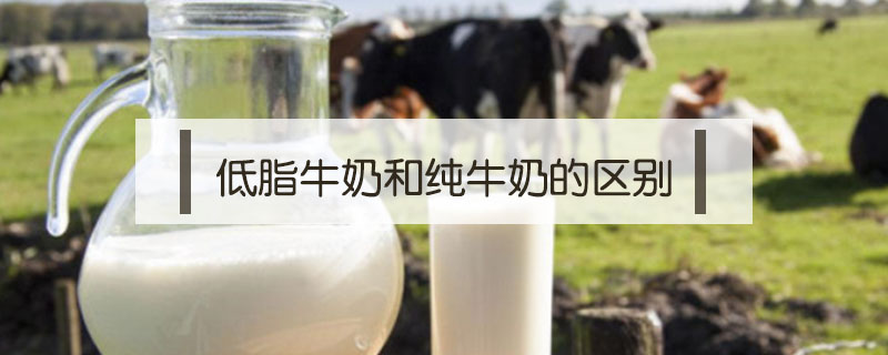 低脂牛奶和纯牛奶的区别