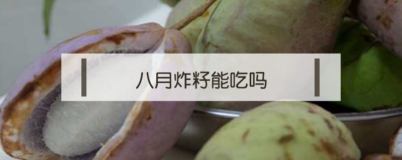 八月炸籽能吃吗