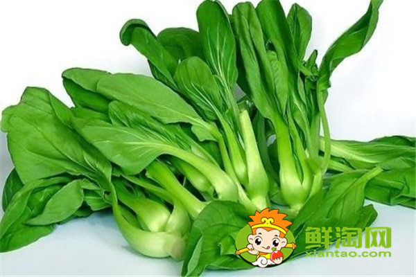 小青菜开水烫过能隔夜吗,开水烫青菜有营养吗