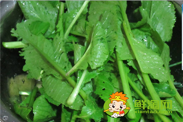 小青菜开水烫过能隔夜吗,开水烫青菜有营养吗