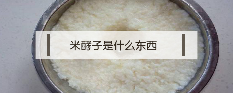 米酵子是什么东西
