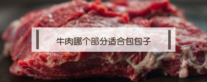 牛肉哪个部分适合包包子