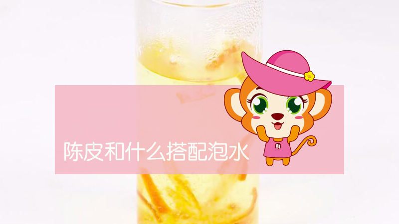 陈皮和什么搭配泡水