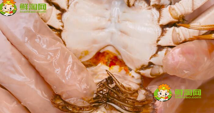 螃蟹怎么吃图解，螃蟹哪里不能吃高清图