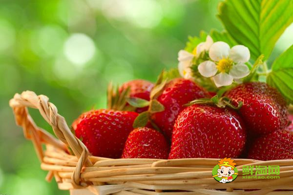 草莓是什么季节的水果，草莓是春夏季节的水果