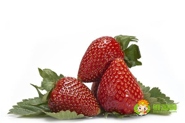 反季节草莓几月份熟，怎么挑选草莓好吃