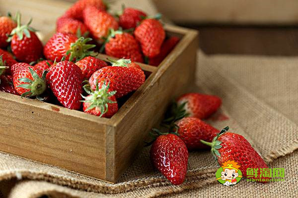 反季节草莓是催熟的吗，冬天的草莓是不是反季节水果