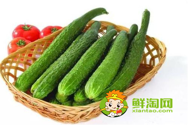 冬至适合吃什么蔬菜，冬至冬至节气怎么过