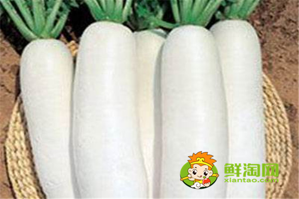 大雪吃什么食物，大雪如何进补最好