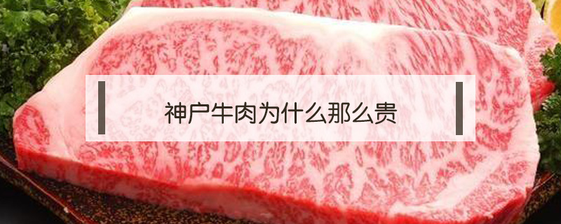 神户牛肉为什么那么贵