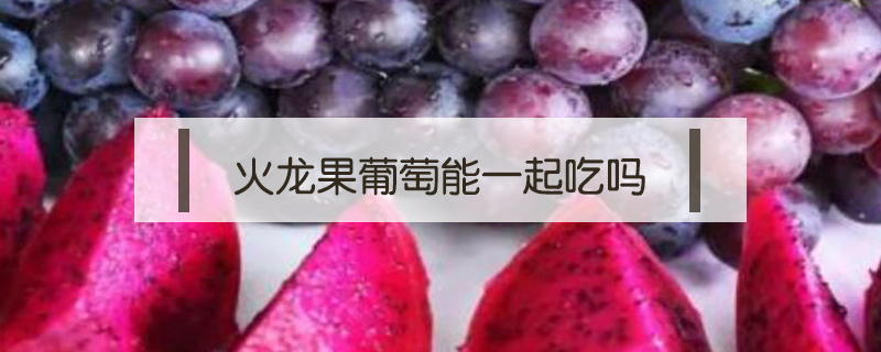 火龙果葡萄能一起吃吗