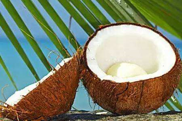 椰子是什么季节成熟，椰子是夏季常见的水果