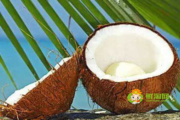 吃椰子肉有什么好处，椰子成熟的季节是几月