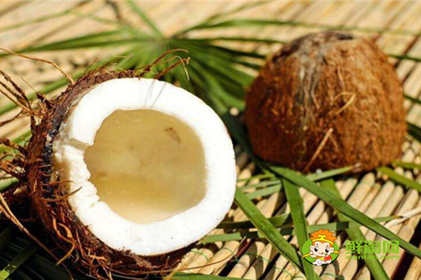 椰子是什么季节成熟，椰子是夏季常见的水果