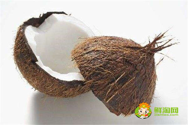 海南椰子和泰国椰子的区别，椰子什么时候成熟