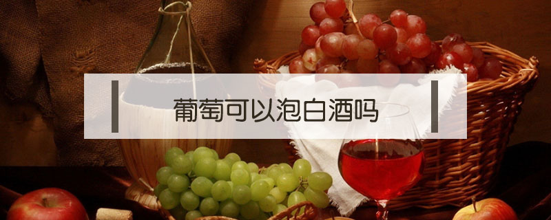 葡萄可以泡白酒吗