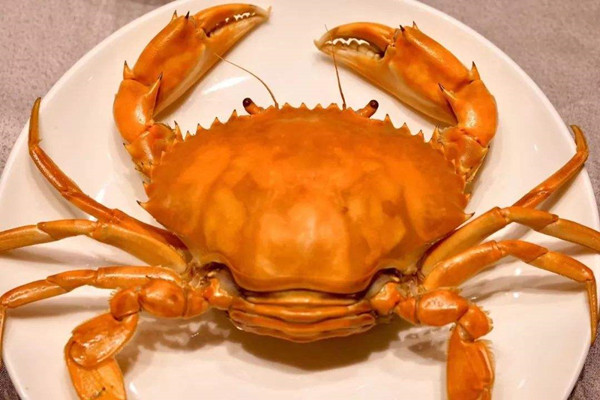 如何区分青蟹和黄油蟹，黄油蟹怎么吃