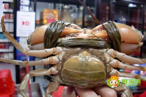 黄油蟹市价多少钱一斤，黄油蟹怎么吃