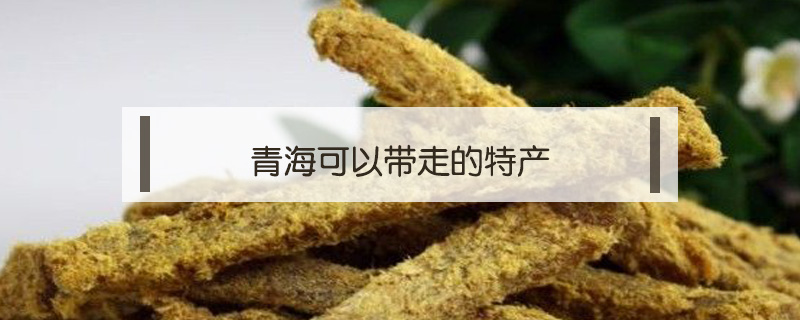 青海可以带走的特产