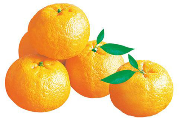 芦柑和橘子的区别