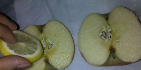 苹果切开后为什么会变色