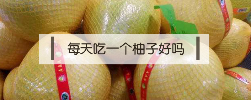 每天吃一个柚子好吗