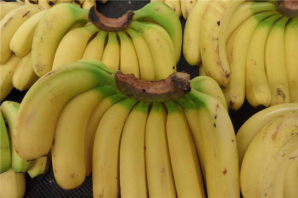 香蕉吃多了会怎样吃香蕉会胖吗