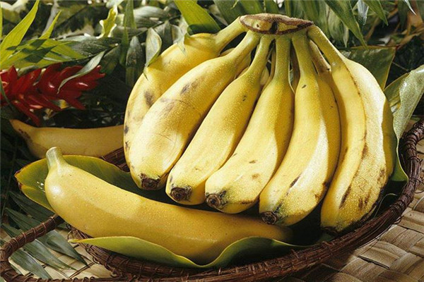 香蕉对人体有什么好处