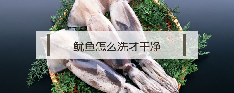 鱿鱼怎么洗才干净